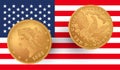 1881 gold piece. 1881 Year Eagle $10 US Gold Coins with the USA flag.